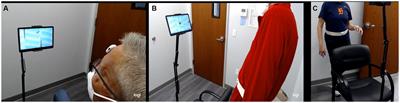 A gaming app developed for vestibular rehabilitation improves the accuracy of performance and engagement with exercises